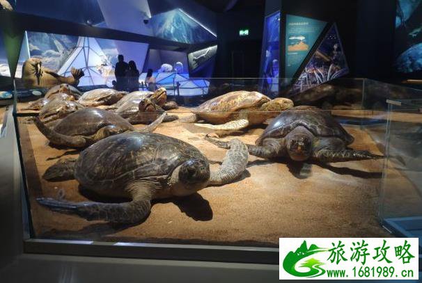 天津冬天有什么好玩的地方