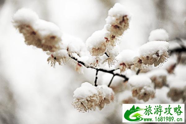 武汉冬季旅游最佳去处推荐 玩雪看景泡温泉都不错过 武汉冬季旅游最佳去处推荐 玩雪看景泡温泉都不错过