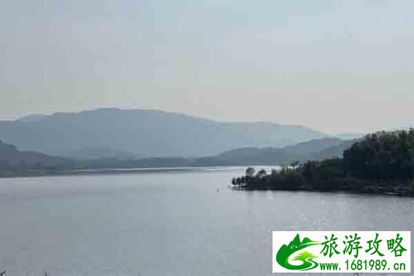 宜兴油车水库观鸟最佳时期 宜兴油车水库观鸟种类 宜兴油车水库观鸟最佳时期 宜兴油车水库观鸟种类