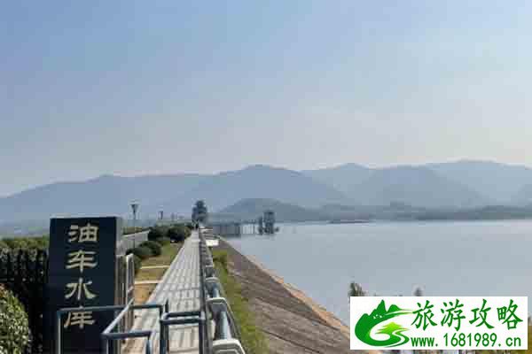 宜兴油车水库观鸟最佳时期 宜兴油车水库观鸟种类 宜兴油车水库观鸟最佳时期 宜兴油车水库观鸟种类