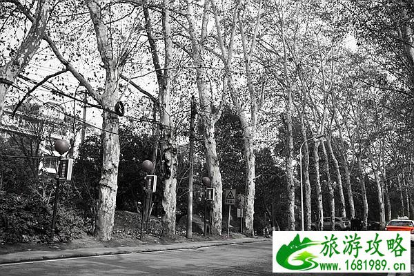 武汉周边冬天一日游景点旅游路线推荐