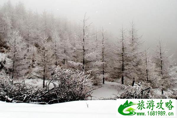 重庆看雪景的最佳地点 重庆哪里可以看雪景