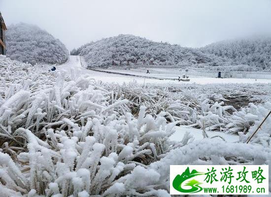 重庆看雪景的最佳地点 重庆哪里可以看雪景