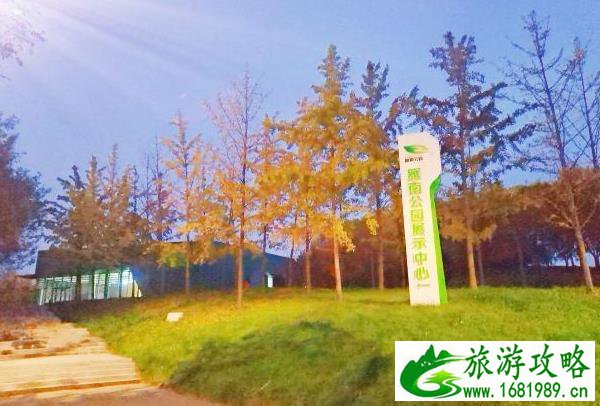 2021西安免费观赏银杏的地方