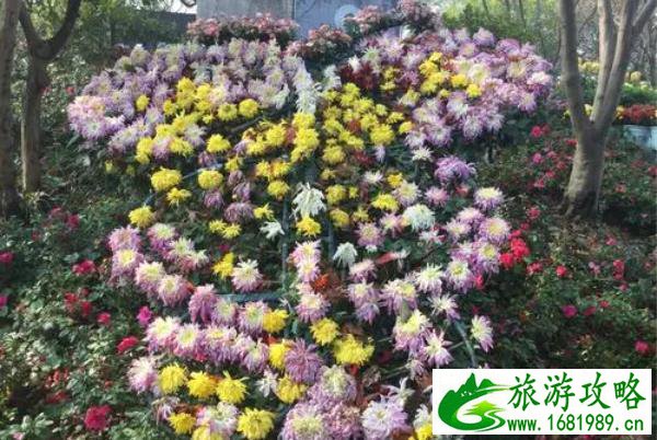 长沙看花的地方有哪些 长沙全年赏花攻略