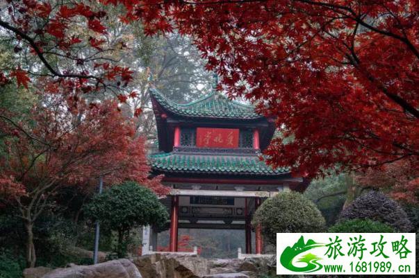 长沙看花的地方有哪些 长沙全年赏花攻略