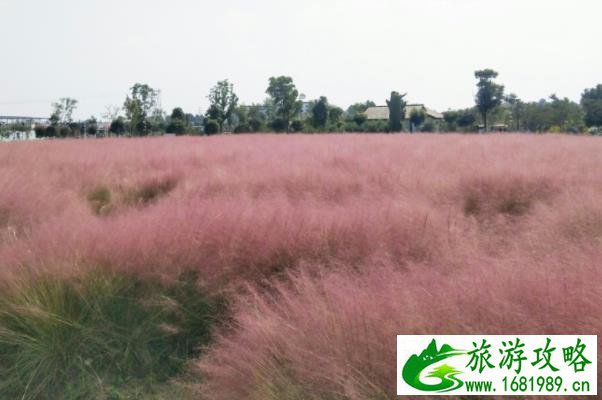 2021武汉秋季赏花的地方有哪些