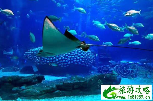 珠海长隆海洋王国三日游路线推荐