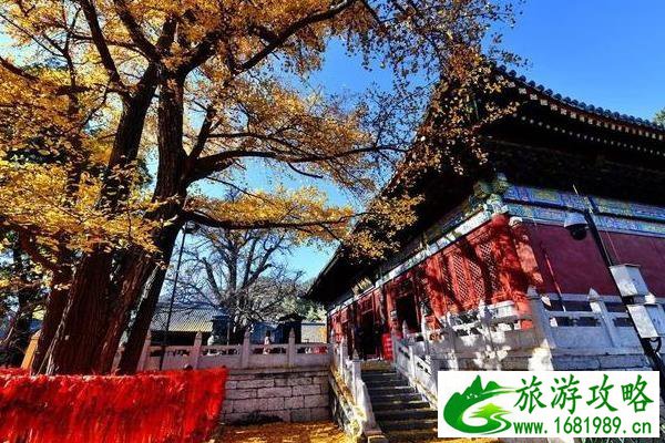 2020北京春节各大寺庙祈福求什么最灵 2020北京春节各大寺庙祈福求什么最灵