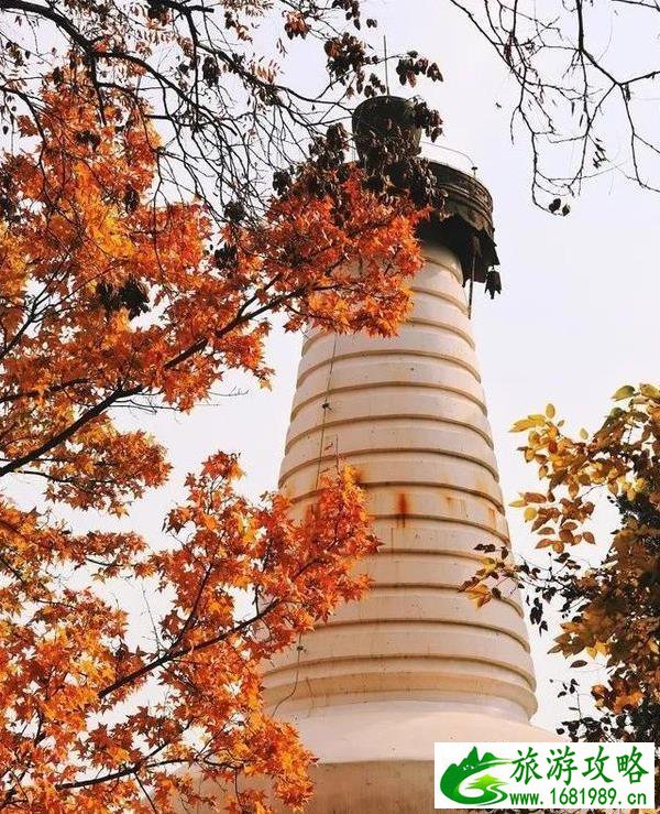 2020北京春节各大寺庙祈福求什么最灵 2020北京春节各大寺庙祈福求什么最灵