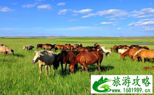 呼伦贝尔草原线最佳路线攻略