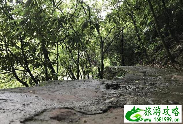 南宝山两日游攻略 南宝山旅游详细攻略 南宝山两日游攻略 南宝山旅游详细攻略