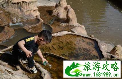 南宝山两日游攻略 南宝山旅游详细攻略 南宝山两日游攻略 南宝山旅游详细攻略