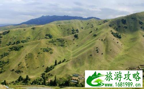 新疆那拉提草原旅游攻略+注意事项 新疆那拉提草原旅游攻略+注意事项