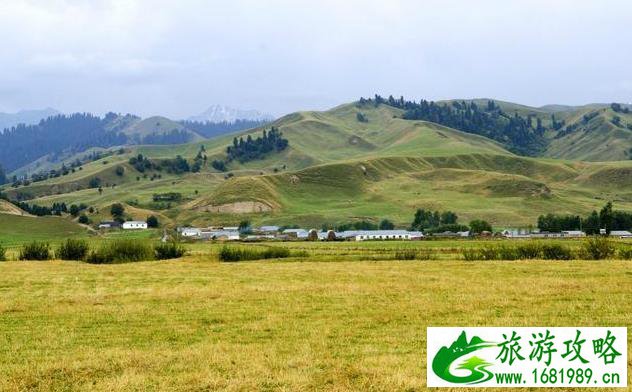 新疆那拉提草原旅游攻略+注意事项 新疆那拉提草原旅游攻略+注意事项