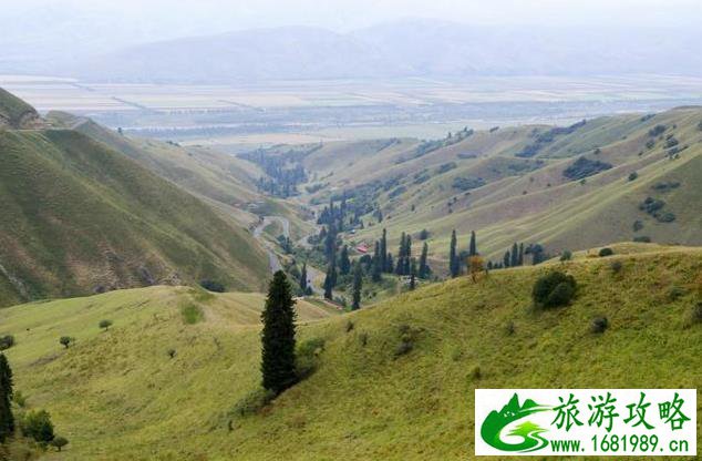 新疆那拉提草原旅游攻略+注意事项 新疆那拉提草原旅游攻略+注意事项