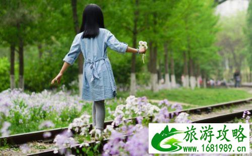 将府公园游玩攻略 将府公园地址 将府公园游玩攻略 将府公园地址