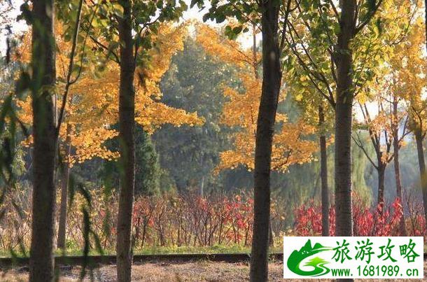 将府公园游玩攻略 将府公园地址 将府公园游玩攻略 将府公园地址