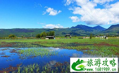 拉市海怎么去 拉市海游玩攻略 拉市海怎么去 拉市海游玩攻略