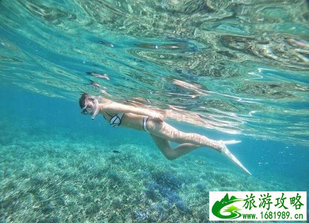 帕劳六天五晚超详细旅游攻略 帕劳六天五晚超详细旅游攻略