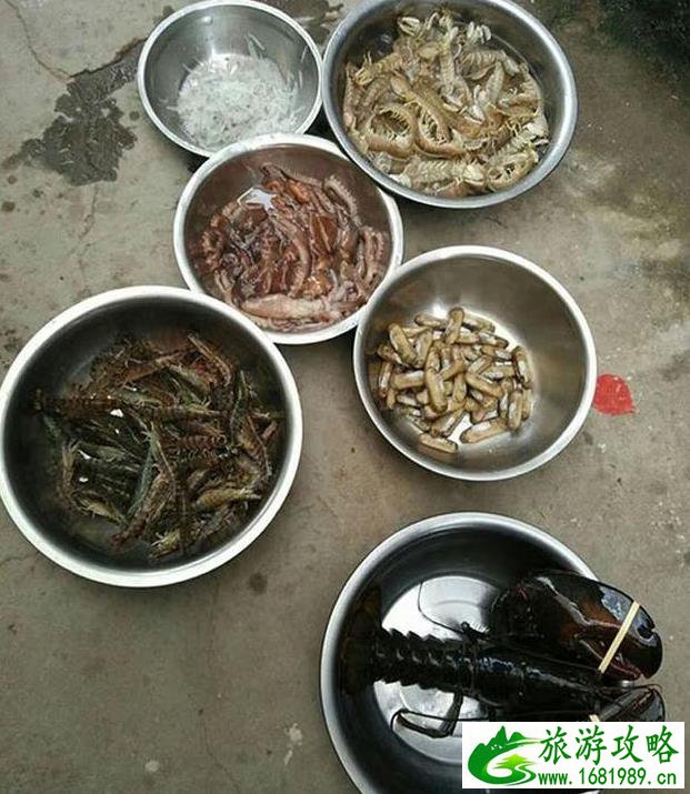 日照旅游攻略 日照详细看海攻略