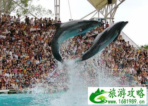 南宁动物园门票多少钱 地址+门票+交通指南 南宁动物园门票多少钱 地址+门票+交通指南