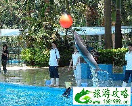 南宁动物园门票多少钱 地址+门票+交通指南 南宁动物园门票多少钱 地址+门票+交通指南