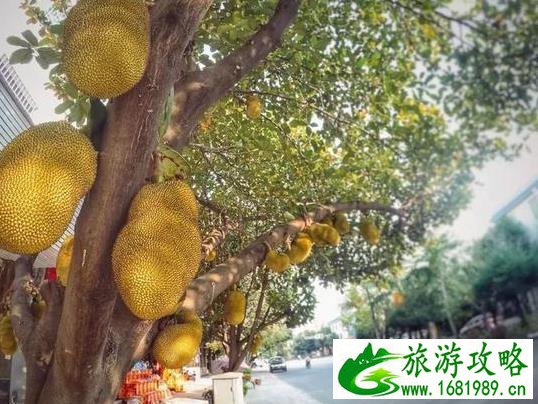 瑞丽小城故事 云南的边境小城 瑞丽小城故事 云南的边境小城