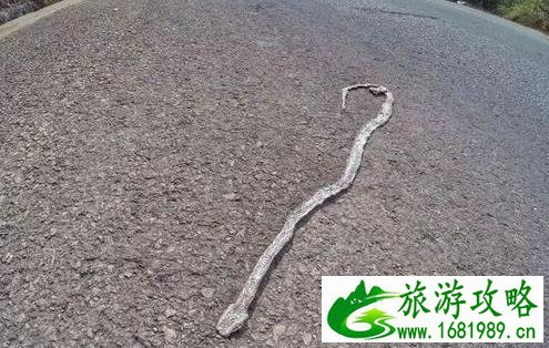 瑞丽小城故事 云南的边境小城 瑞丽小城故事 云南的边境小城