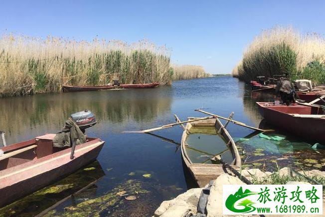 库尔勒旅游详细攻略