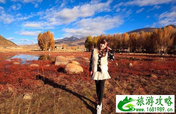 2022年稻城亚丁最新旅游攻略 2022年稻城亚丁最新旅游攻略