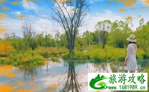 呼伦贝尔7月份旅游最佳路线和攻略 呼伦贝尔7月份旅游最佳路线和攻略