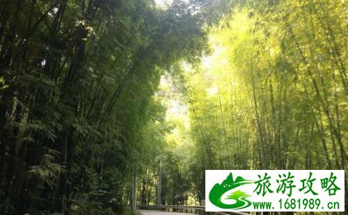 南宝山大峡谷一日游攻略