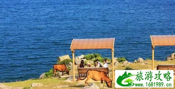 香港两日游自由行攻略 香港两日游自由行攻略