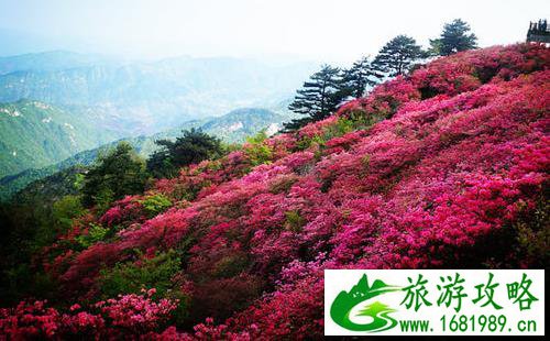 麻城龟峰山游玩攻略 麻城龟峰山风景区旅游攻略