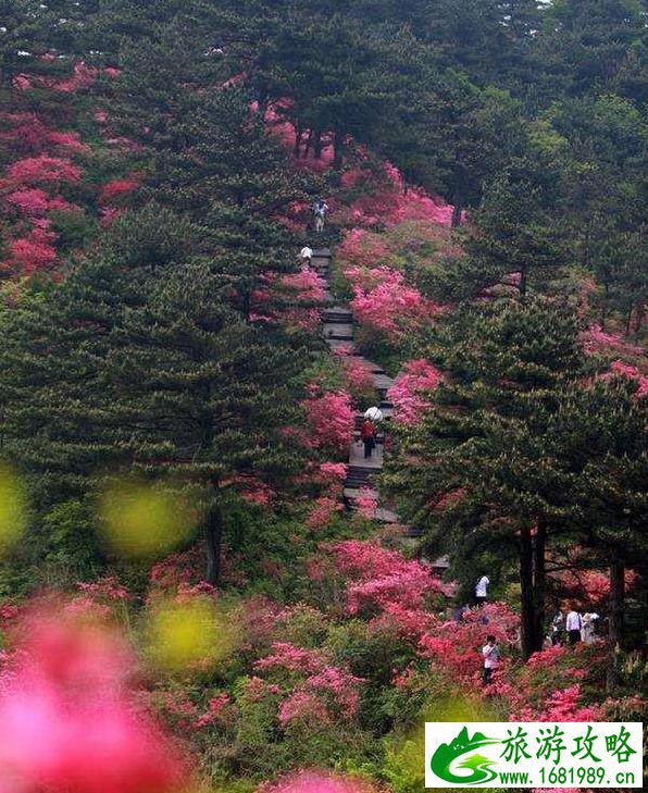 麻城龟峰山游玩攻略 麻城龟峰山风景区旅游攻略 麻城龟峰山游玩攻略 麻城龟峰山风景区旅游攻略