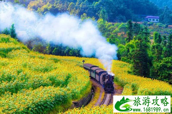 乐山大佛 乐山旅游攻略 乐山大佛 乐山旅游攻略