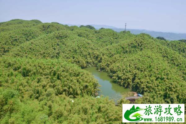 乐山大佛 乐山旅游攻略 乐山大佛 乐山旅游攻略
