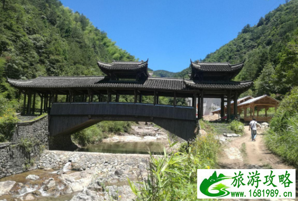 庆元有什么好玩的景点 百山祖海拔多少米 庆元有什么好玩的景点 百山祖海拔多少米