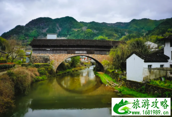 庆元有什么好玩的景点 百山祖海拔多少米 庆元有什么好玩的景点 百山祖海拔多少米