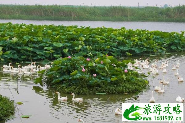扬州旅游路线推荐