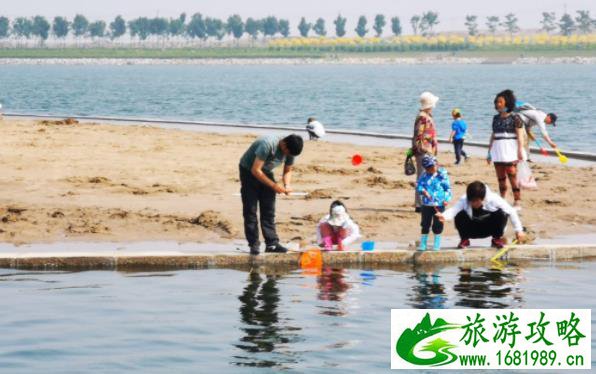 天津南湾公园钓螃蟹