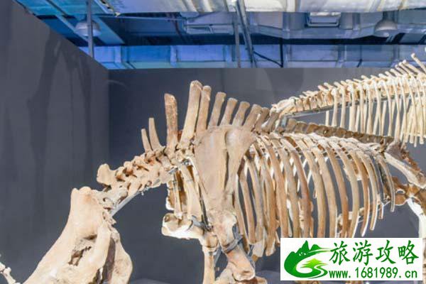 厦门科技馆打卡攻略 带你玩转科技馆 厦门科技馆打卡攻略 带你玩转科技馆