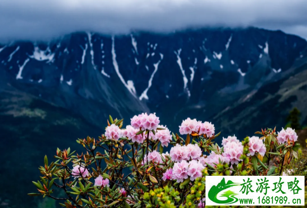 暑假旅游好去处推荐国内