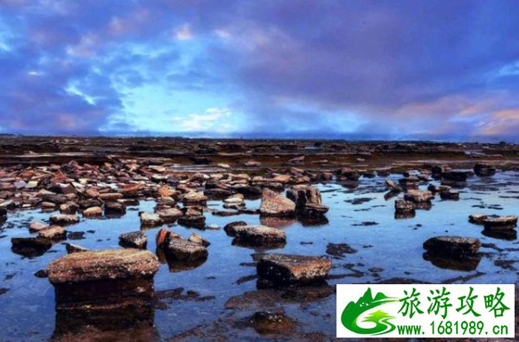 国内小巴厘岛广西北海涠洲岛最新旅游全攻略 国内小巴厘岛广西北海涠洲岛最新旅游全攻略