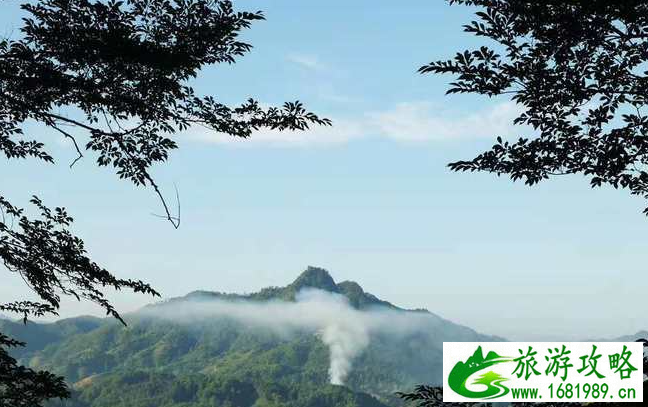 2021武夷山必玩的十大景点指南