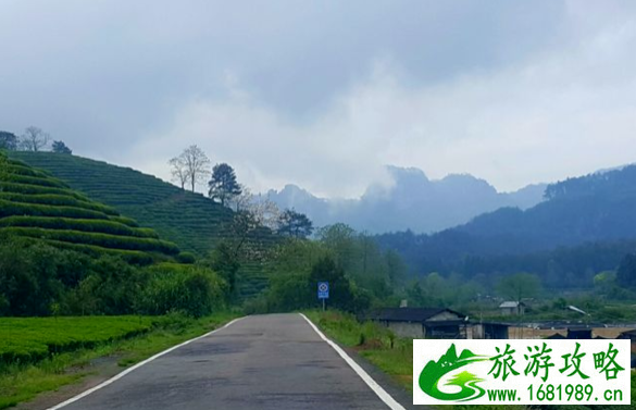 2021武夷山必玩的十大景点指南