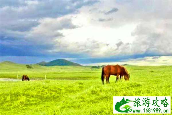 甘南旅游攻略 十大经典旅游景点 甘南旅游攻略 十大经典旅游景点