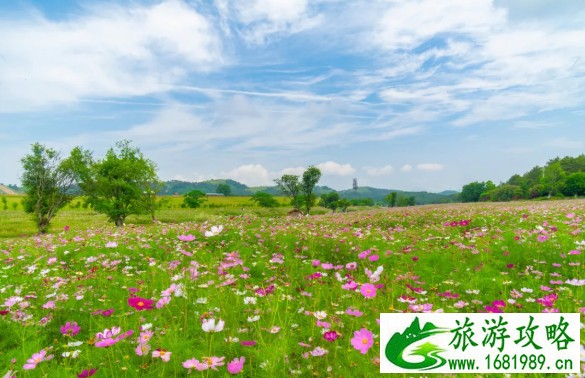 武汉端午节去哪里玩比较好 武汉端午节去哪里玩比较好