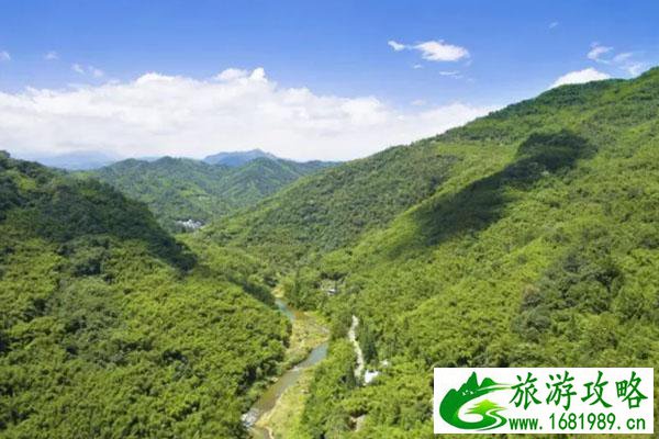 成都竹海在哪里-景点推荐 成都竹海在哪里-景点推荐